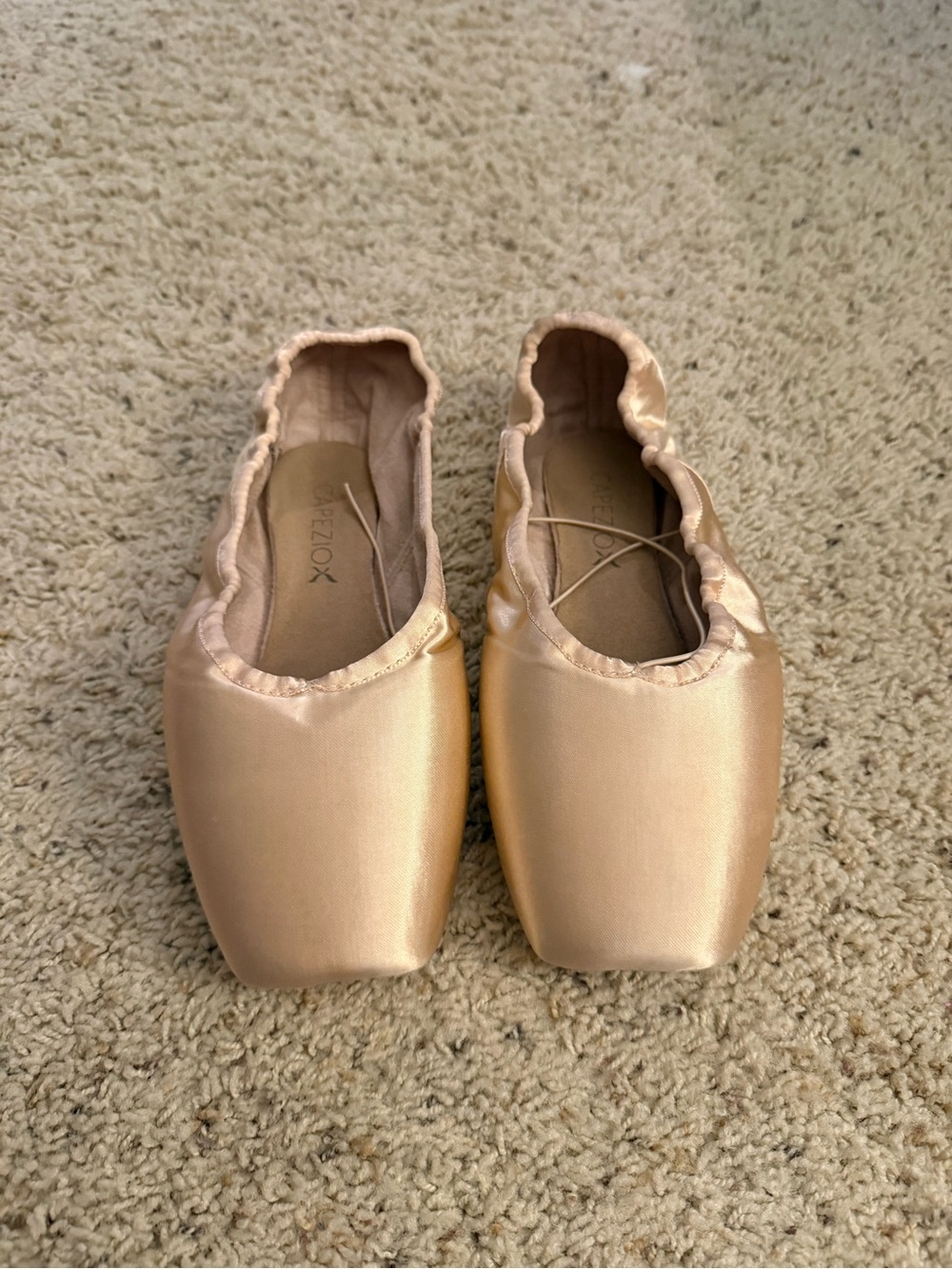 Brand New Capezio Ballet Point Shoe